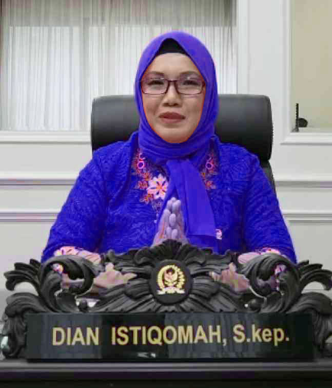 Dian Istiqomah, Anggota DPR RI Dapil Jakarta III